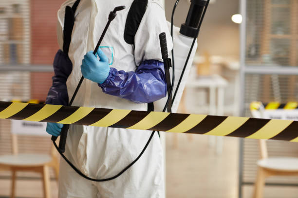 Professional Odor Removal technician working in Bitely, MI